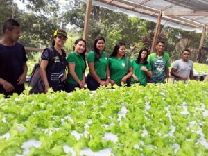 Imagem da notícia - Visita à Escola Creche Luz da Infância para conhecer o sistema de hidroponia