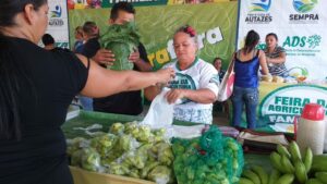 Imagem da notícia - Projeto de alunos pelo Pronatec/Cetam busca identificar e catalogar plantas medicinais e suas aplicações pela população de Autazes