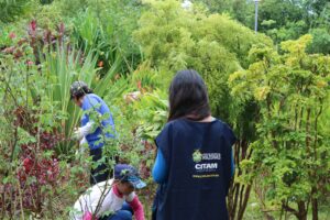 Imagem da notícia - Alunos de Paisagismo do Cetam/Estelio Dalison dão uma repaginada no jardim do IBC