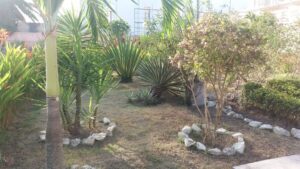 WhatsApp Image 2019-11-28 at 17.04.21